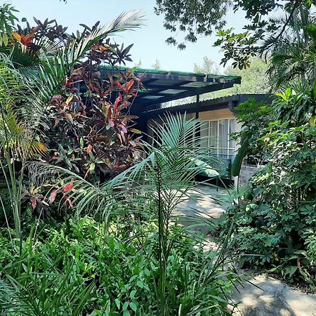 Elephant Walk Guesthouse And Back Packers Phalaborwa Ngoại thất bức ảnh