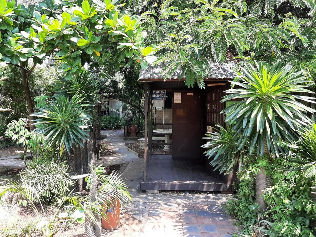 Elephant Walk Guesthouse And Back Packers Phalaborwa Ngoại thất bức ảnh