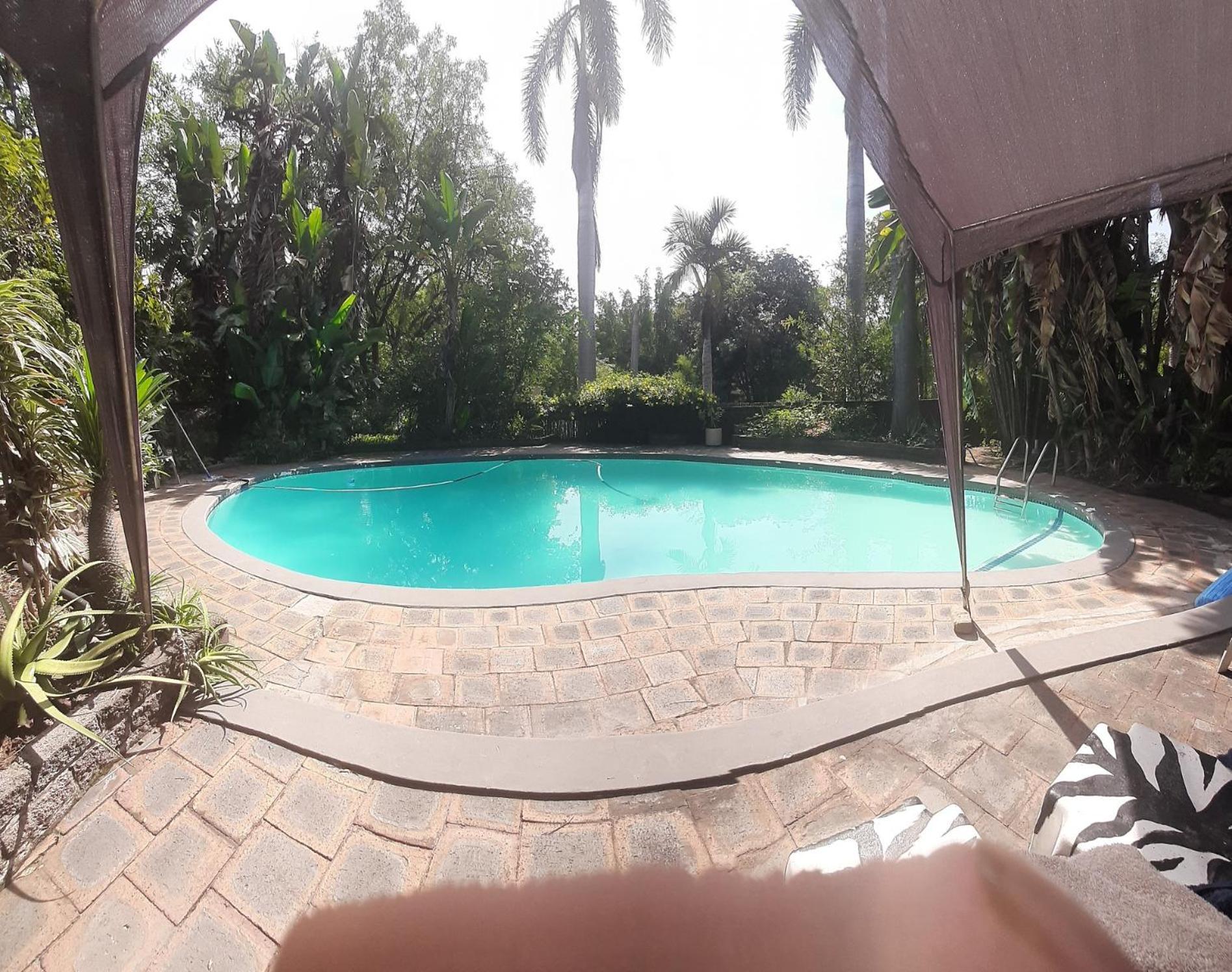 Elephant Walk Guesthouse And Back Packers Phalaborwa Ngoại thất bức ảnh