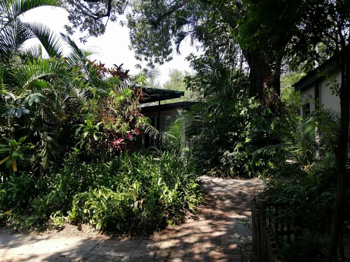 Elephant Walk Guesthouse And Back Packers Phalaborwa Ngoại thất bức ảnh