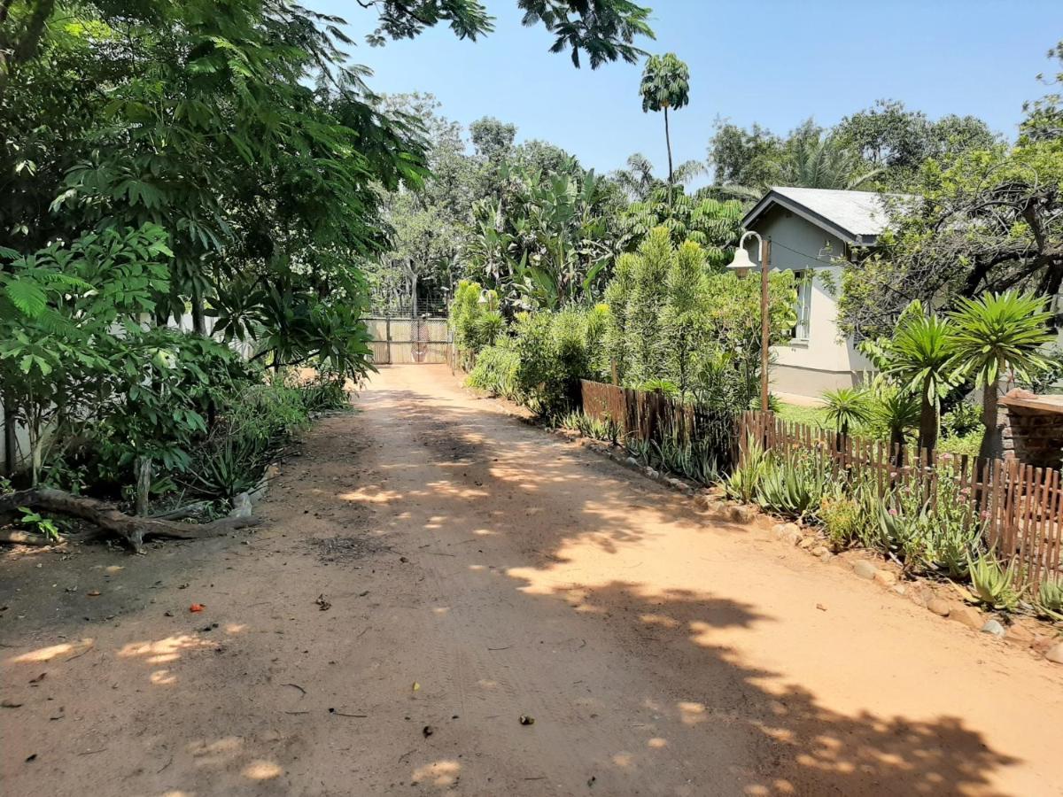 Elephant Walk Guesthouse And Back Packers Phalaborwa Ngoại thất bức ảnh